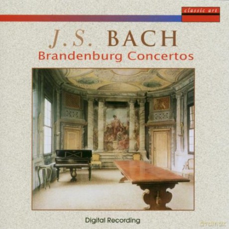Accademia D.magnifica Comunita: Brandenburg Concertos 2/4/5 [CD]