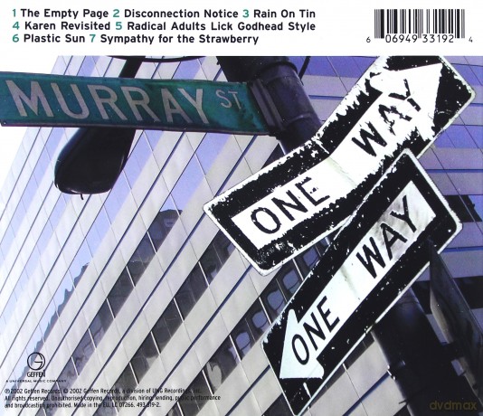 Sonic Youth: Murray Street [CD]