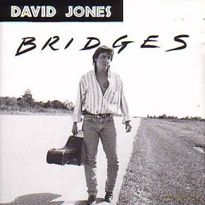 David Jones: Bridges [CD]