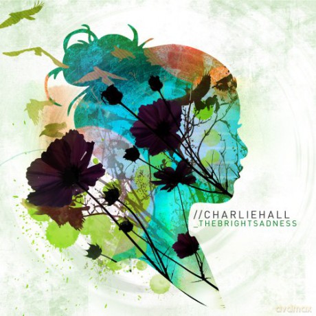 Charlie Hall: Bright Sadness [CD]