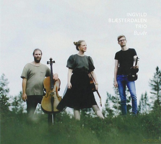 Ingvild Blaeterdalen Trio: Buver [CD]