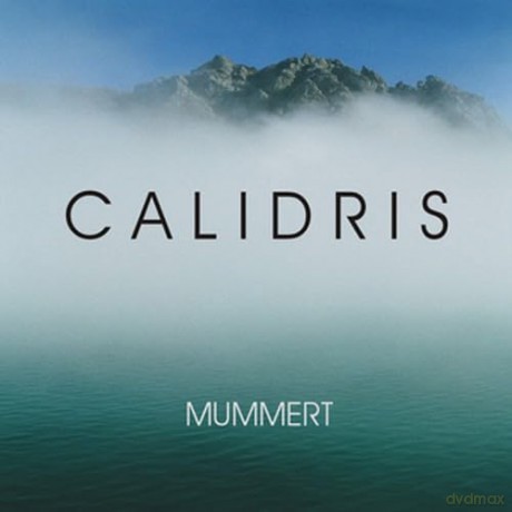 Holger Mummert: Calidris [CD]