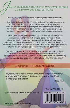 Małe szczęścia [KSIĄŻKA]