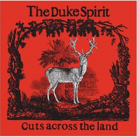 Duke Spirit: Cut Across the Land [CD]