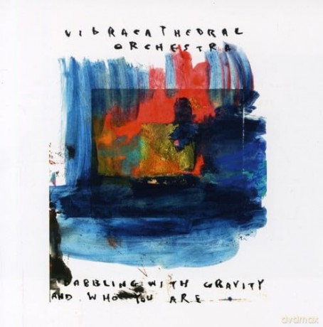 Vibracathedral Orchestra: Dabbling With Gravity and Who You Are [CD]
