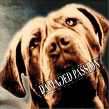 Kresta: Damaged Passion [CD]
