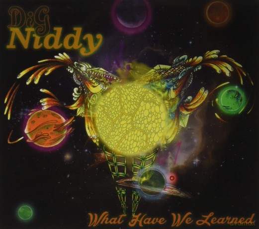 What Have We Learned: Dig Niddy [CD]
