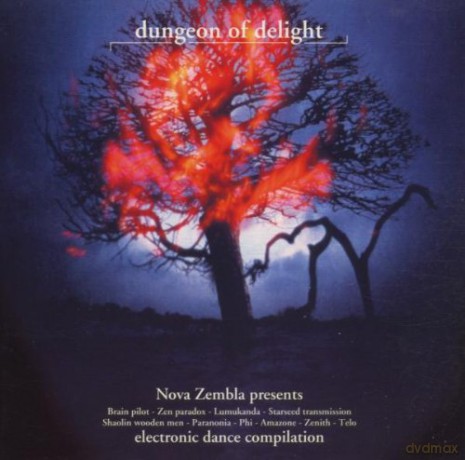 Dungeon Of Delight [CD]