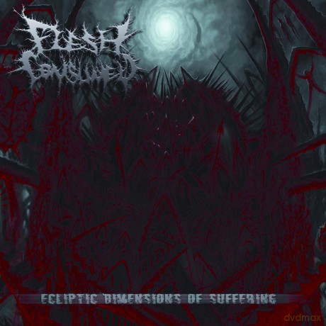 Flesh Consumed: Ecliptic Dimensions of Suffering [CD]
