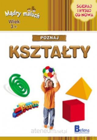Mądry maluch. Poznaj kształty [KSIĄŻKA]