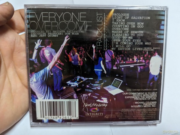 Desperation Band: Everyone Overcome [CD]
