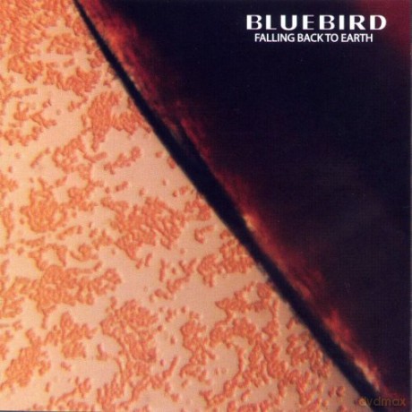 Bluebird: Falling Back To Earth [CD]