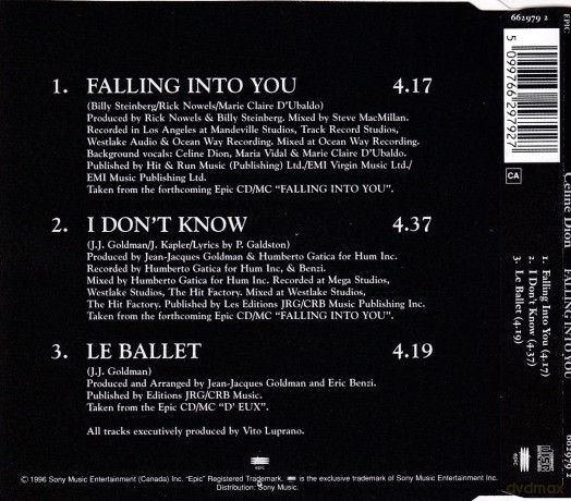 Celine Dion: Falling Into You [CD]