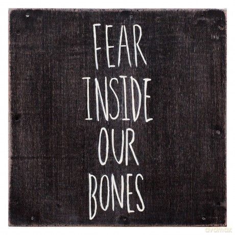 Almost: Fear Inside Our Bones [CD]