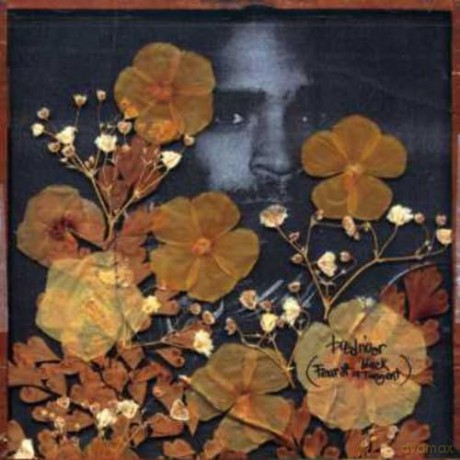 Busdriver: Fear of a Black Tangent [CD]
