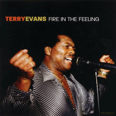 Terry Evans: Fire in the Feeling [CD]