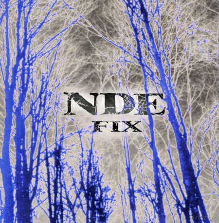 Nde: Fix [CD]