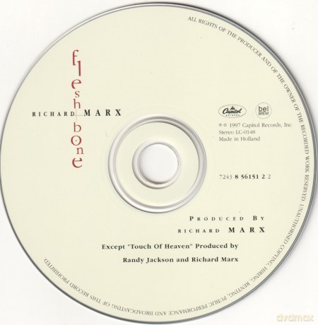 Richard Marx: Flesh & Bone [CD]