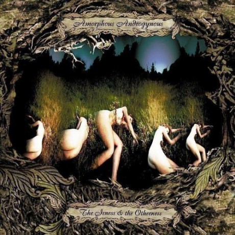 Amorphous Androgynous: Fsol Present Amorphous Androgynous: The Isness [CD]