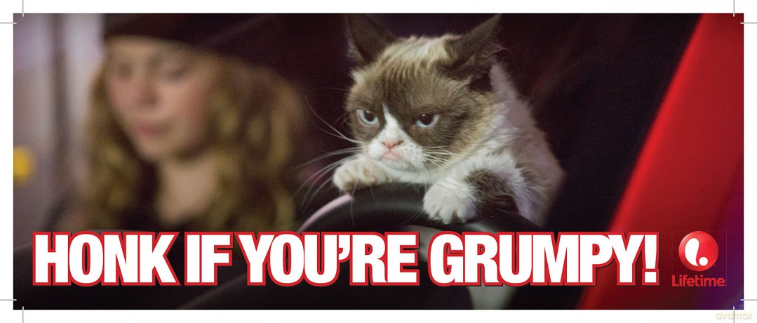 Grumpy Cat's Worst Christmas Ever [CD]