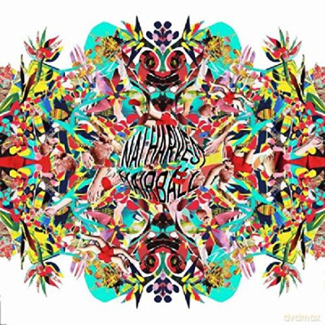 Nai Harvest: Hairball [CD]