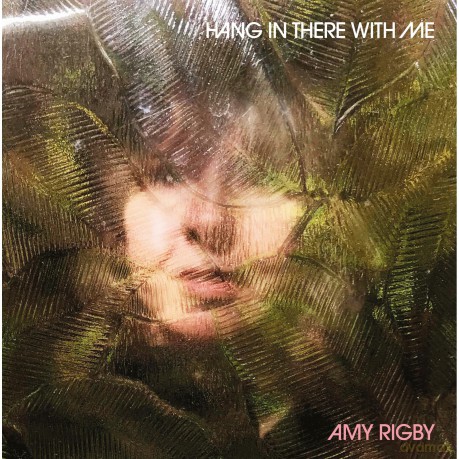 Amy Rigby: Hang In There With Me [CD]