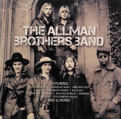 Allman Brothers Band: Icon 2 [CD]