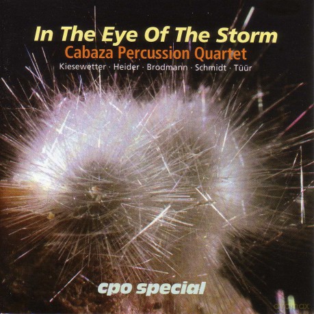 Peter Kiesewetter: In the Eye of the Storm [CD]