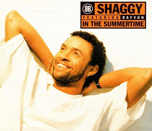 Shaggy: In The Summertime [CD]