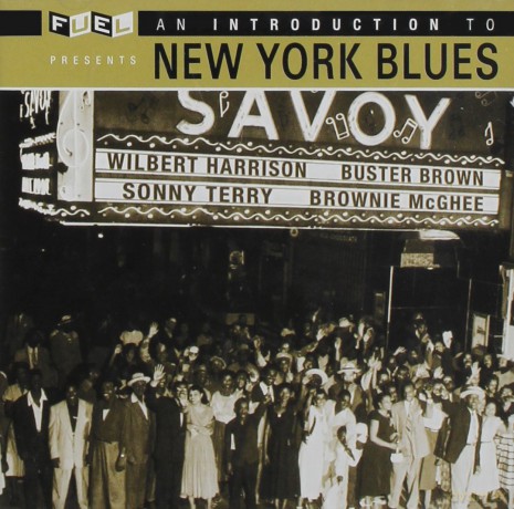 Introduction to New York Blues [CD]
