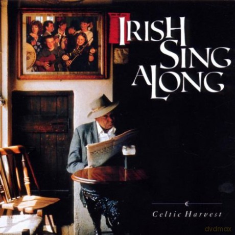 Irish Sing Along [CD]