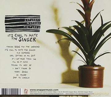 Saturday Morning Pictures: it's Cool to Hate the Singer [CD]