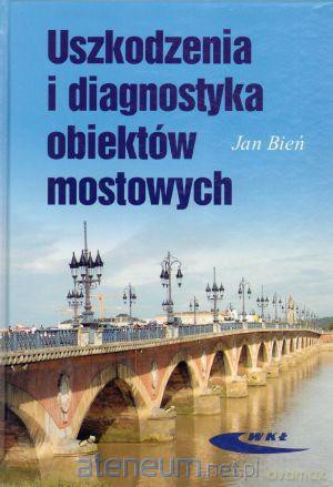 Uszkodzenia i diagnostyka obiektów mostowych [KSIĄŻKA]