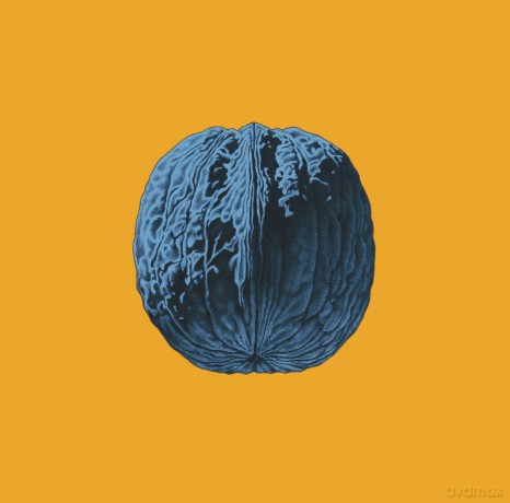 Brunori Sas: L Albero Delle Noci [CD]