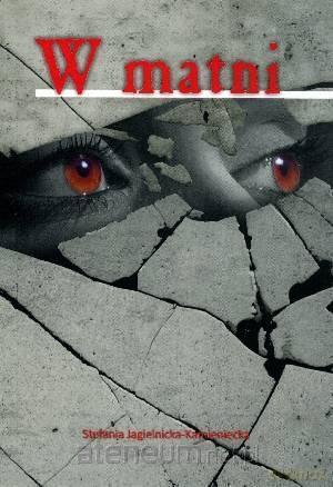 W matni [KSIĄŻKA]