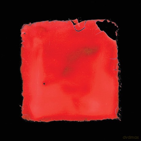 Salvia Palth: Last Chance To See [CD]