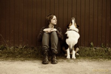 Teitur: Let the Dog Drive Home [CD]