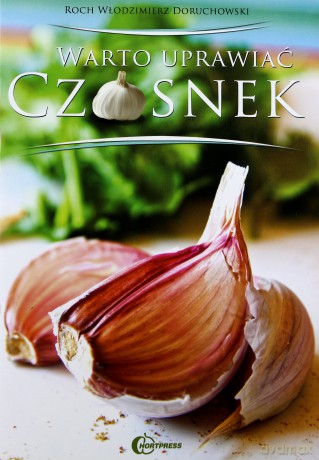 Warto uprawiać czosnek [KSIĄŻKA]