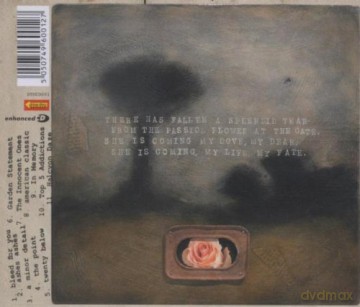 Hidden in Plain View: Life in Dreaming [CD]