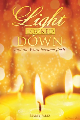 Marty Parks: Light Looked Down [CD]