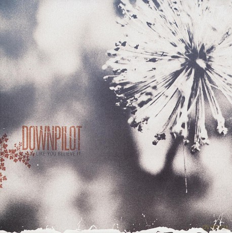 Downpilot: Like You Believe It [CD]