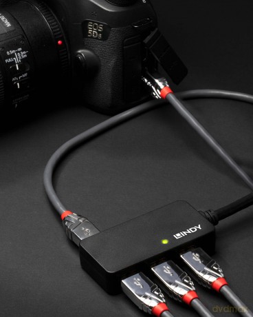 Lindy: Lindy 43159 Prolunga Attiva Con Hub Usb 3.0, 4 Porte, 10 M, Nero [CD]