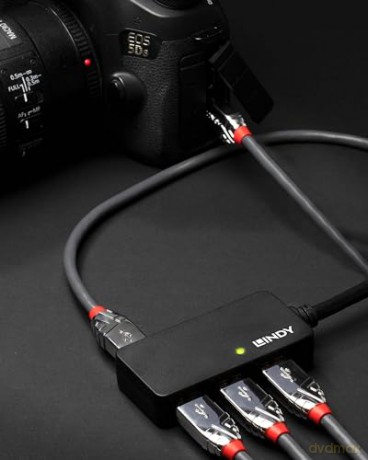 Lindy: Lindy 43159 Prolunga Attiva Con Hub Usb 3.0, 4 Porte, 10 M, Nero [CD]