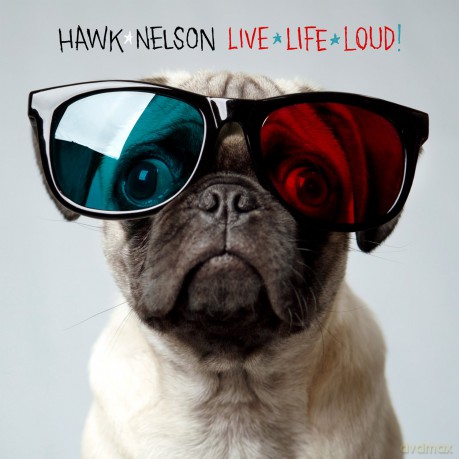 Hawk Nelson: Live Life Loud [CD]