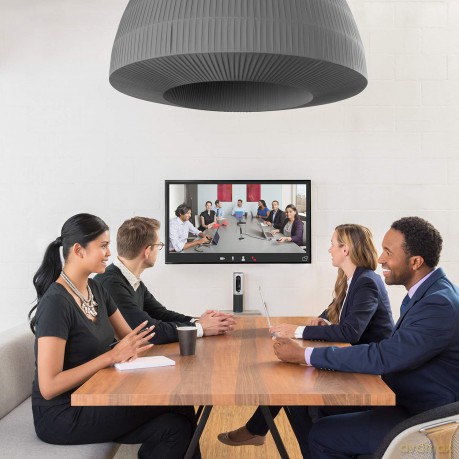 Logitech Conferencecam Connect Per Videoconferenza, Nero [CD]
