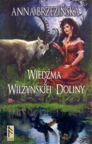 Wiedźma z Wilżyńskiej Doliny - Anna Brzezińska [KSIĄŻKA]
