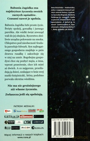 Wiedźma z Wilżyńskiej Doliny - Anna Brzezińska [KSIĄŻKA]