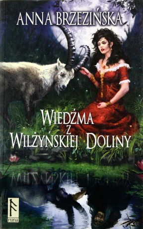 Wiedźma z Wilżyńskiej Doliny - Anna Brzezińska [KSIĄŻKA]