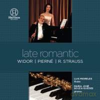 Luis Meireles/m Jose Guedes-Late Romantic [CD]