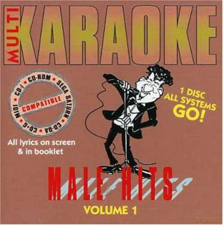 Karaoke: Male Hits V.1 [CD]